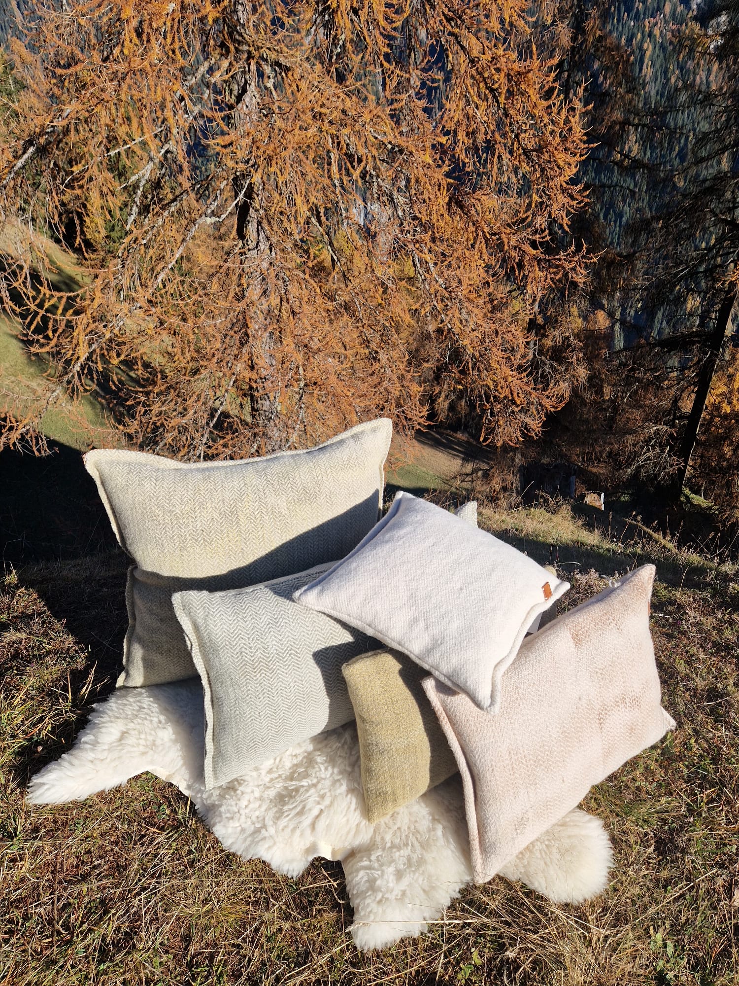 Kissen "Fang" – Bild 3